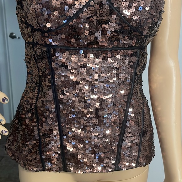 Cache Luxe Y2K Copper Corset Style Chic Blouse Medium - Picture 3 of 7